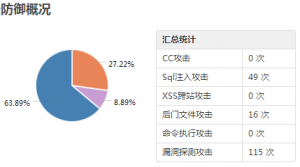 雨非时空网站防御统计