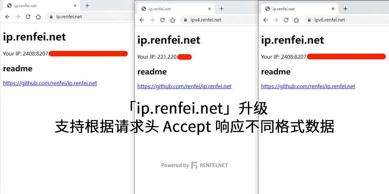 获取公网IP服务「ip.renfei.net」升级，支持根据请求头 Accept 响应不同格式数据