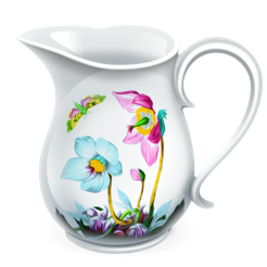 Charles Web Proxy 4.5.6